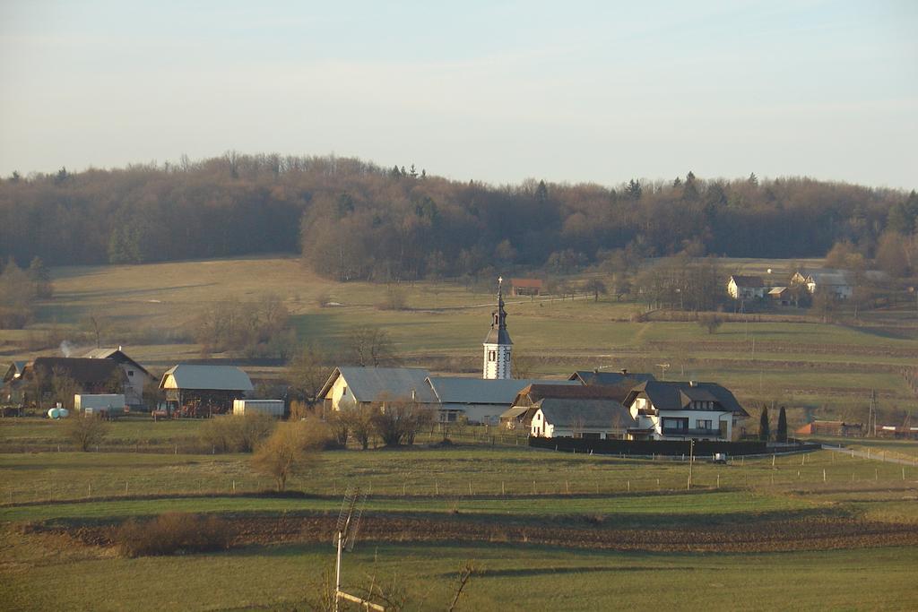 Guesthouse Novak Dvor Kültér fotó