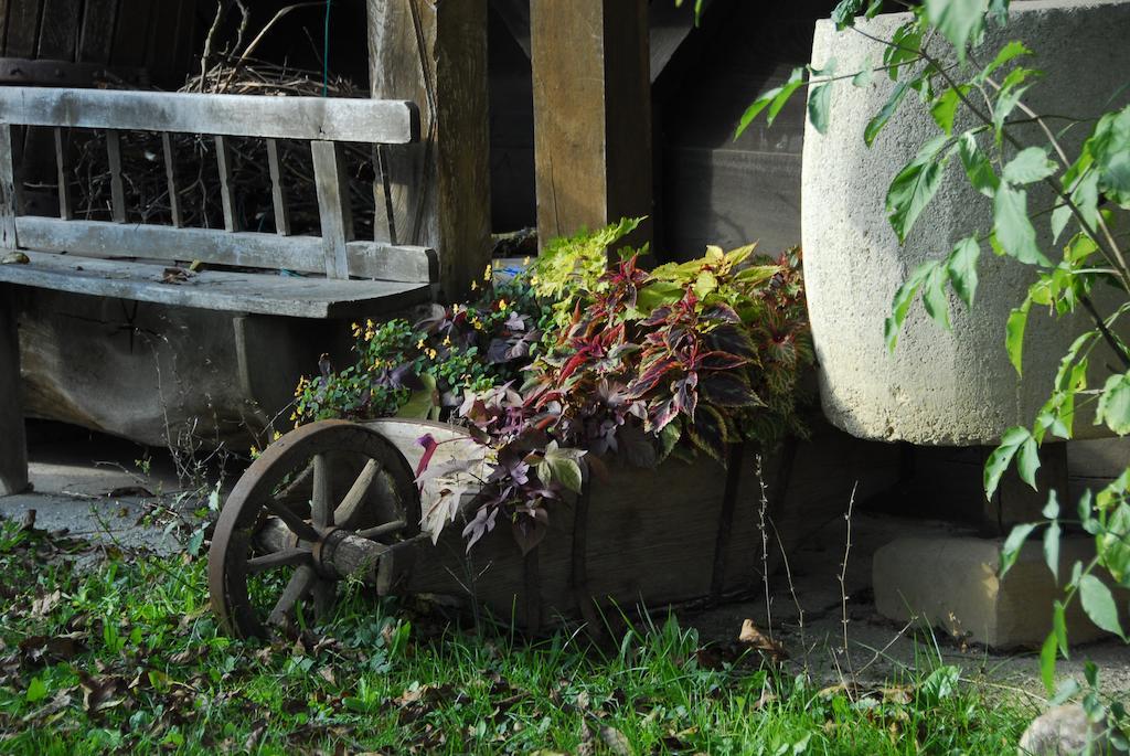 Guesthouse Novak Dvor Kültér fotó