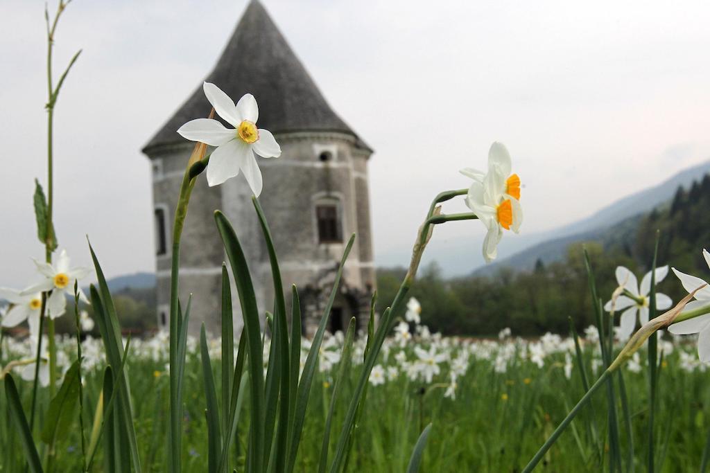 Guesthouse Novak Dvor Kültér fotó